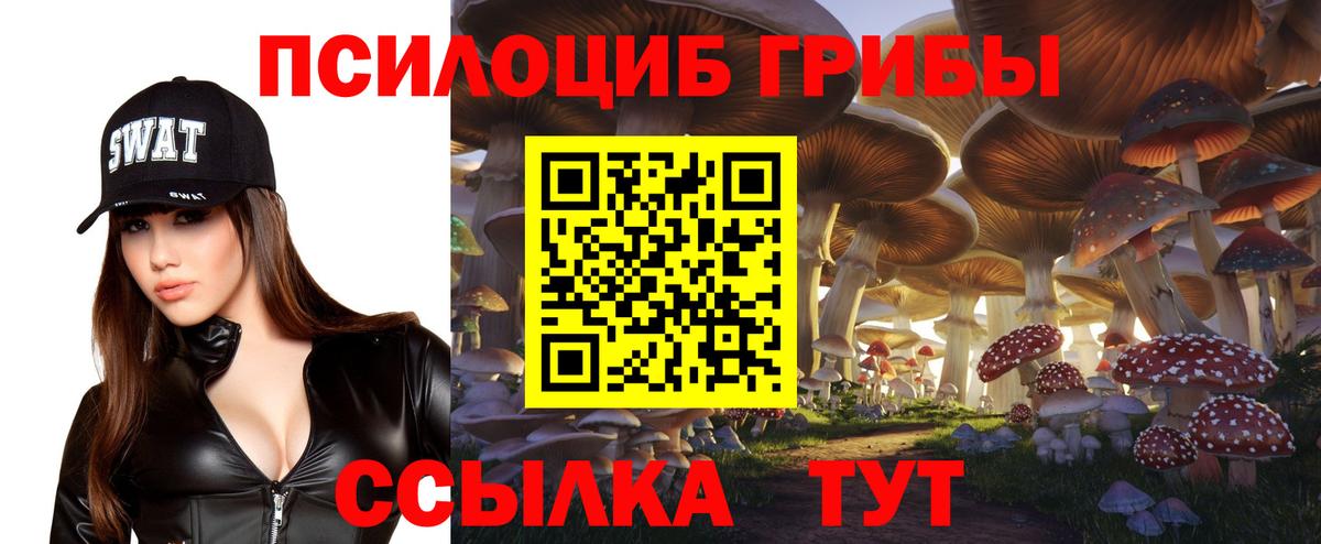 Ивантеевка  Галлюциногенные грибы Magic Shrooms  Вход с VPN 